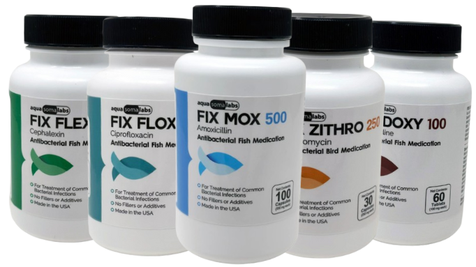 Fish Antibiotics